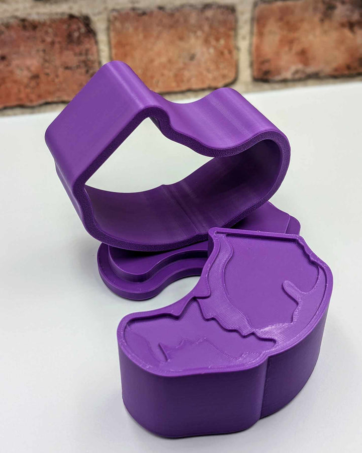 Michigan State Bath Bomb Mold