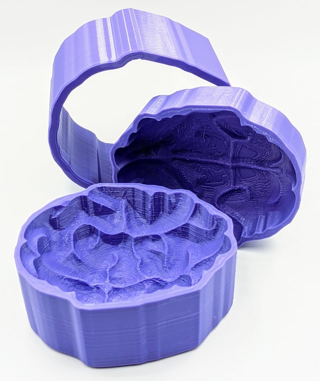 Brain Bath Bomb Mold