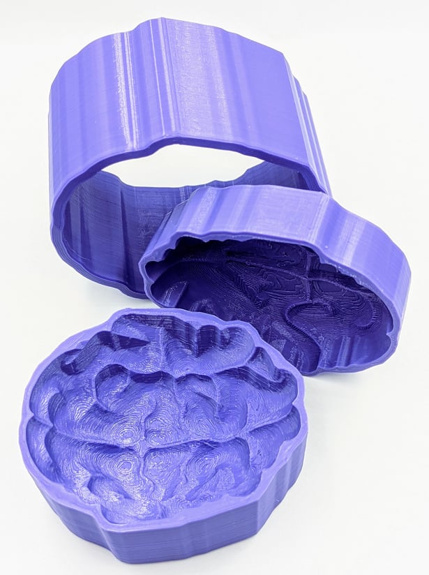 Brain Bath Bomb Mold